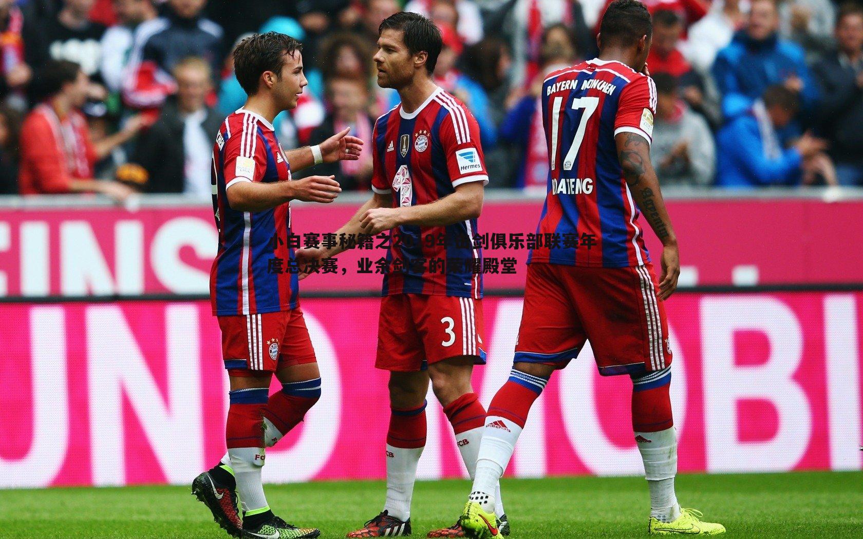 DB真人官网-小白赛事秘籍之2019年击剑俱乐部联赛年度总决赛，业余剑客的荣耀殿堂